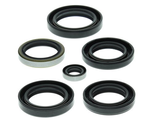 WINDEROSA (VERTEX) Комплект Прокладок для двигуна KAWASAKI KVF360A PRAIRIE 4X4 03-13, KVF360C PRAIRIE 4X4 03-13