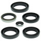 WINDEROSA (VERTEX) Комплект Прокладок для двигуна KAWASAKI KVF360A PRAIRIE 4X4 03-13, KVF360C PRAIRIE 4X4 03-13