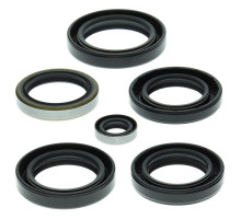 WINDEROSA (VERTEX) Комплект Прокладок для двигуна KAWASAKI KVF360A PRAIRIE 4X4 03-13, KVF360C PRAIRIE 4X4 03-13