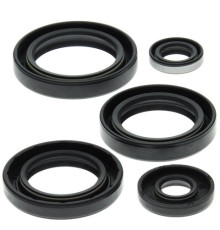 WINDEROSA (VERTEX) Комплект Прокладок для двигуна KAWASAKI KVF400A PRAIRIE 4X4 97-98, KVF400B PRAIRIE 98, KVF400C PRAIRIE 4X4 99-02
