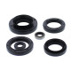 WINDEROSA (VERTEX) Комплект Прокладок для двигуна KAWASAKI KVF750 BRUTE FORCE '15-'19, KVF750 BRUTE FORCE EPS '15-'19
