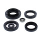 WINDEROSA (VERTEX) Комплект Прокладок для двигуна KAWASAKI KVF750 BRUTE FORCE '15-'19, KVF750 BRUTE FORCE EPS '15-'19