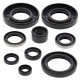 WINDEROSA (VERTEX) Комплект Прокладок для двигуна KAWASAKI KX 80/85 '98-'13, KX 100 '98-'13
