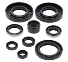 WINDEROSA (VERTEX) Комплект Прокладок для двигуна KAWASAKI KX 80/85 '98-'13, KX 100 '98-'13