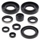 WINDEROSA (VERTEX) Комплект Прокладок для двигуна KAWASAKI KX 80/85 '98-'13, KX 100 '98-'13