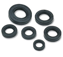 WINDEROSA (VERTEX) Комплект Прокладок для двигуна KAWASAKI KX250 05-07