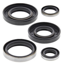 WINDEROSA (VERTEX) Комплект Прокладок для двигуна KAWASAKI KX250 82
