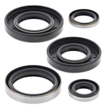 WINDEROSA (VERTEX) Комплект Прокладок для двигуна KAWASAKI KX250 82