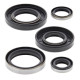 WINDEROSA (VERTEX) Комплект Прокладок для двигуна KAWASAKI KX250 82