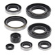 WINDEROSA (VERTEX) Комплект Прокладок для двигуна KAWASAKI KX250 85-86