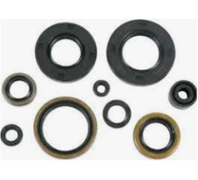 WINDEROSA (VERTEX) Комплект Прокладок для двигуна KAWASAKI KX250 88-89