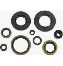 WINDEROSA (VERTEX) Комплект Прокладок для двигуна KAWASAKI KX250 88-89