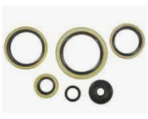 WINDEROSA (VERTEX) Комплект Прокладок для двигуна KTM EXC 300 94-03, EXC 360 96-97, EXC 380 98-02, MXC 300 94-03, MXC 360 96-97, MXC 380 98-01, SX 300 94, SX 360 96-97, SX 380 98-02