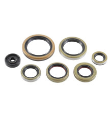 WINDEROSA (VERTEX) Комплект Прокладок для двигуна KTM SX 250 '16-'22, XC 250 '17-'22, XC 300 '17-'22, XC-W 250 '17-'22, HUSQVARNA TC 250 '17-'22, GAS GAS EC/MC 250/300 '21-'22