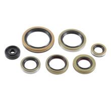 WINDEROSA (VERTEX) Комплект Прокладок для двигуна KTM SX 250 '16-'22, XC 250 '17-'22, XC 300 '17-'22, XC-W 250 '17-'22, HUSQVARNA TC 250 '17-'22, GAS GAS EC/MC 250/300 '21-'22