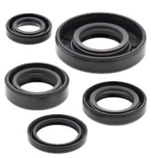 WINDEROSA (VERTEX) Комплект Прокладок для двигуна KTM SX 50 06-09, SX 50 MINI 08, SX PRO JR 50 01-08, SX PRO SR 50 02-05