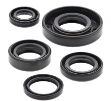 WINDEROSA (VERTEX) Комплект Прокладок для двигуна KTM SX 50 06-09, SX 50 MINI 08, SX PRO JR 50 01-08, SX PRO SR 50 02-05