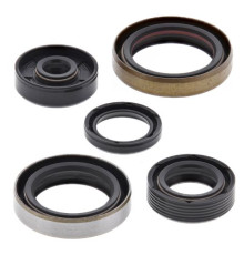 WINDEROSA (VERTEX) Комплект Прокладок для двигуна KTM SX 50 '10-'22, SX 50 MINI '09-'22, SX PRO JR 50 09, SXS 50 '11-'14, HUSQVARNA TC 50 '18-'22 ,GAS GAS MC 50 '21-'22