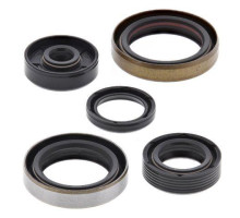 WINDEROSA (VERTEX) Комплект Прокладок для двигуна KTM SX 50 '10-'22, SX 50 MINI '09-'22, SX PRO JR 50 09, SXS 50 '11-'14, HUSQVARNA TC 50 '18-'22 ,GAS GAS MC 50 '21-'22