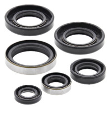 WINDEROSA (VERTEX) Комплект Прокладок для двигуна KTM SX 65 98-08, XC 65 08