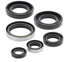 WINDEROSA (VERTEX) Комплект Прокладок для двигуна KTM SX 65 98-08, XC 65 08
