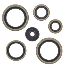 WINDEROSA (VERTEX) Комплект Прокладок для двигуна KTM SX125 98-14, EXC125 98-14, SX/EXC200 98-14, SX144/150 07-14