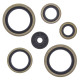 WINDEROSA (VERTEX) Комплект Прокладок для двигуна KTM SX125 98-14, EXC125 98-14, SX/EXC200 98-14, SX144/150 07-14
