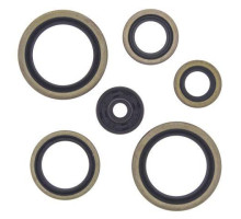 WINDEROSA (VERTEX) Комплект Прокладок для двигуна KTM SX125 98-14, EXC125 98-14, SX/EXC200 98-14, SX144/150 07-14