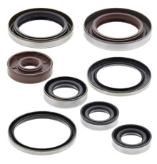 WINDEROSA (VERTEX) Комплект Прокладок для двигуна KTM SXF 250 05-12, EXCF250 06-13