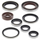 WINDEROSA (VERTEX) Комплект Прокладок для двигуна KTM SXF 250 05-12, EXCF250 06-13