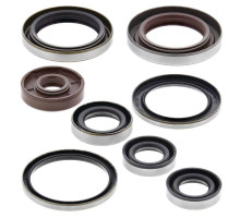 WINDEROSA (VERTEX) Комплект Прокладок для двигуна KTM SXF 250 05-12, EXCF250 06-13