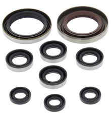 WINDEROSA (VERTEX) Комплект Прокладок для двигуна KTM XC 450 ATV 08-09, XC 525 ATV 08-09, POLARIS OUTLAW 525 IRS 07-11, OUTLAW 525 S 08-10