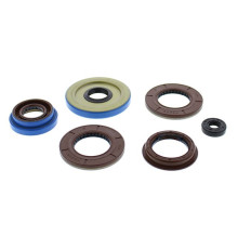 WINDEROSA (VERTEX) Комплект Прокладок для двигуна POLARIS RANGER 900 CREW '13-15, RZR 4 XP 900 12-14, RZR XP 1000 14-15