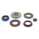 WINDEROSA (VERTEX) Комплект Прокладок для двигуна POLARIS RANGER 900 CREW '13-15, RZR 4 XP 900 12-14, RZR XP 1000 14-15