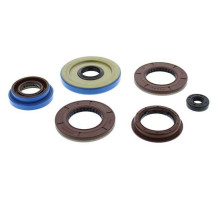 WINDEROSA (VERTEX) Комплект Прокладок для двигуна POLARIS RANGER 900 CREW '13-15, RZR 4 XP 900 12-14, RZR XP 1000 14-15