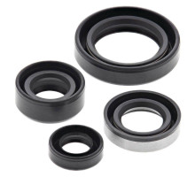 WINDEROSA (VERTEX) Комплект Прокладок для двигуна SUZUKI DR 350SE(DR350) '90-'99