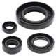 WINDEROSA (VERTEX) Комплект Прокладок для двигуна SUZUKI DR650SE 96-17