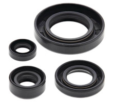 WINDEROSA (VERTEX) Комплект Прокладок для двигуна SUZUKI DR650SE 96-17