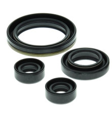 WINDEROSA (VERTEX) Комплект Прокладок для двигуна SUZUKI LT-160 03-04, LT-160E 89-92, LT-F160 91-01