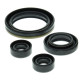 WINDEROSA (VERTEX) Комплект Прокладок для двигуна SUZUKI LT-160 03-04, LT-160E 89-92, LT-F160 91-01