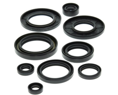 WINDEROSA (VERTEX) Комплект Прокладок для двигуна SUZUKI LT-250R 87-92