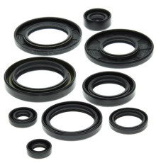 WINDEROSA (VERTEX) Комплект Прокладок для двигуна SUZUKI LT-250R 87-92