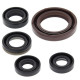 WINDEROSA (VERTEX) Комплект Прокладок для двигуна SUZUKI LTR 450 '06-'09