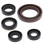 WINDEROSA (VERTEX) Комплект Прокладок для двигуна SUZUKI LTR 450 