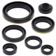WINDEROSA (VERTEX) Комплект Прокладок для двигуна SUZUKI RM 250 '96-'08