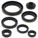 WINDEROSA (VERTEX) Комплект Прокладок для двигуна SUZUKI RM 250 '96-'08