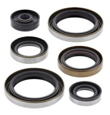 WINDEROSA (VERTEX) Комплект Прокладок для двигуна SUZUKI RM250 06-08
