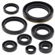 WINDEROSA (VERTEX) Комплект Прокладок для двигуна SUZUKI RM250 87-88