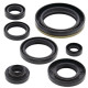 WINDEROSA (VERTEX) Комплект Прокладок для двигуна SUZUKI RM250 89-93