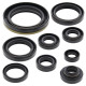 WINDEROSA (VERTEX) Комплект Прокладок для двигуна SUZUKI RMX250 89-94